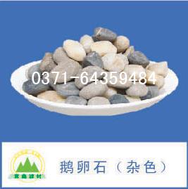鹅卵石 鹅卵石