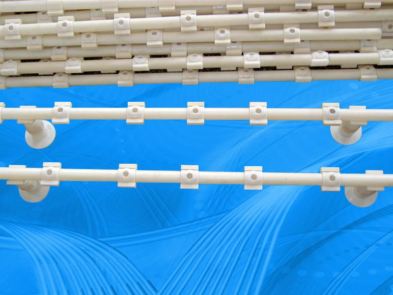 ����Ĥ������