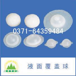 Һ�渲��������